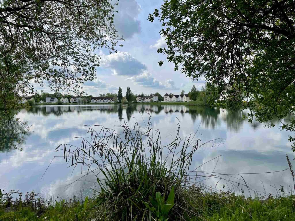 Lovely walks around Windrush Lake