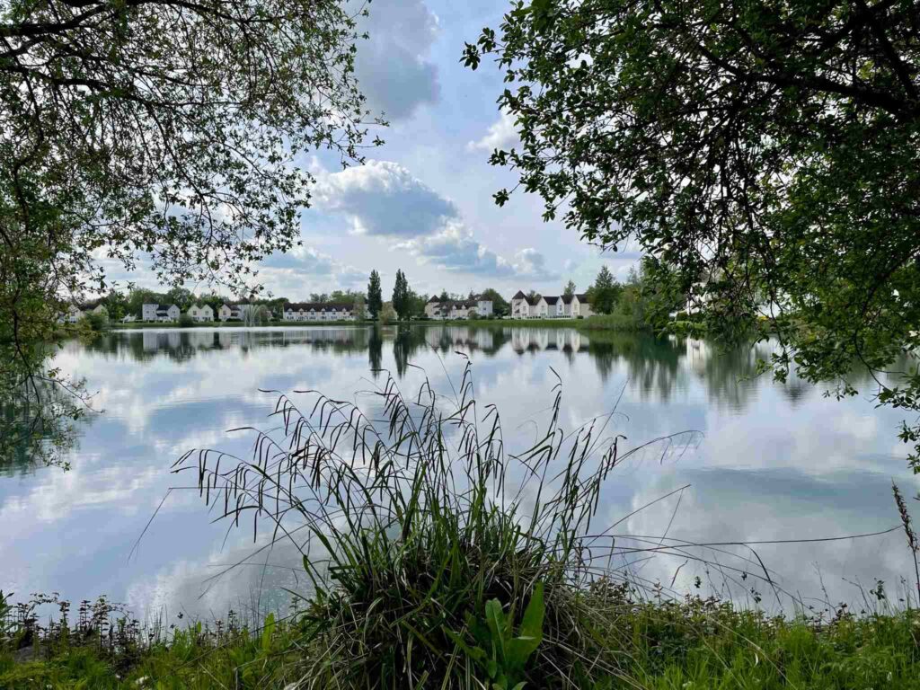 Lovely walks around Windrush Lake